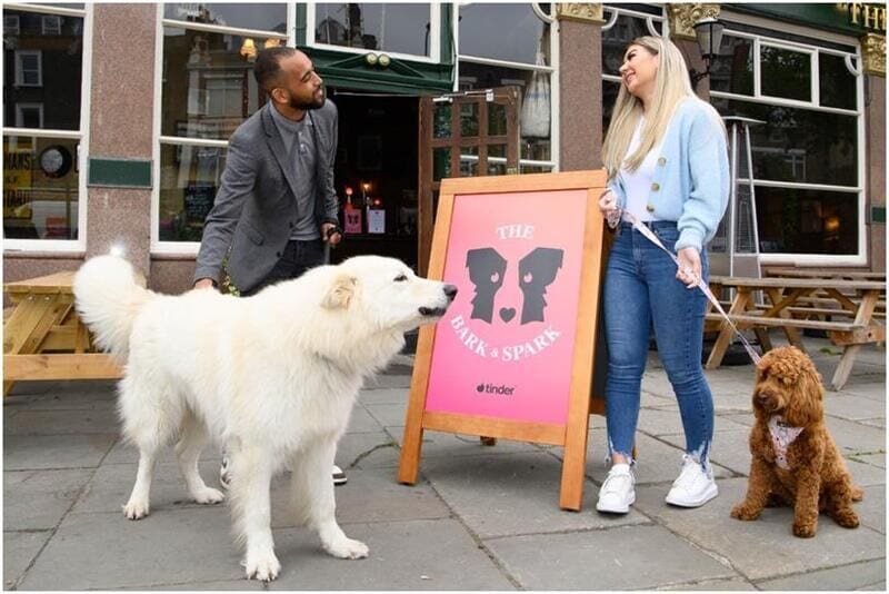 Dog-Friendly Dating Pop-Ups