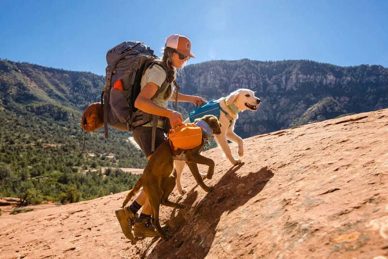 Stabilized Dog Hiking Backpacks