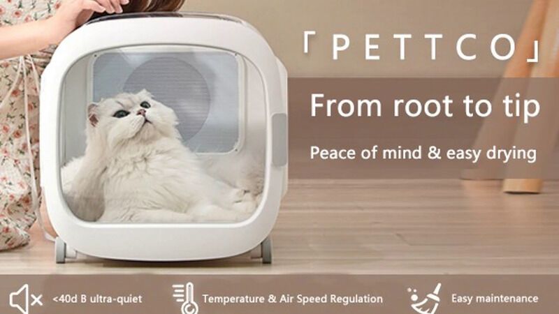 Pet Drying Devices