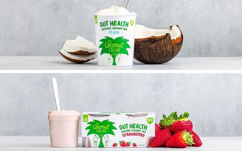 Gut-Friendly Plant-Based Yogurts