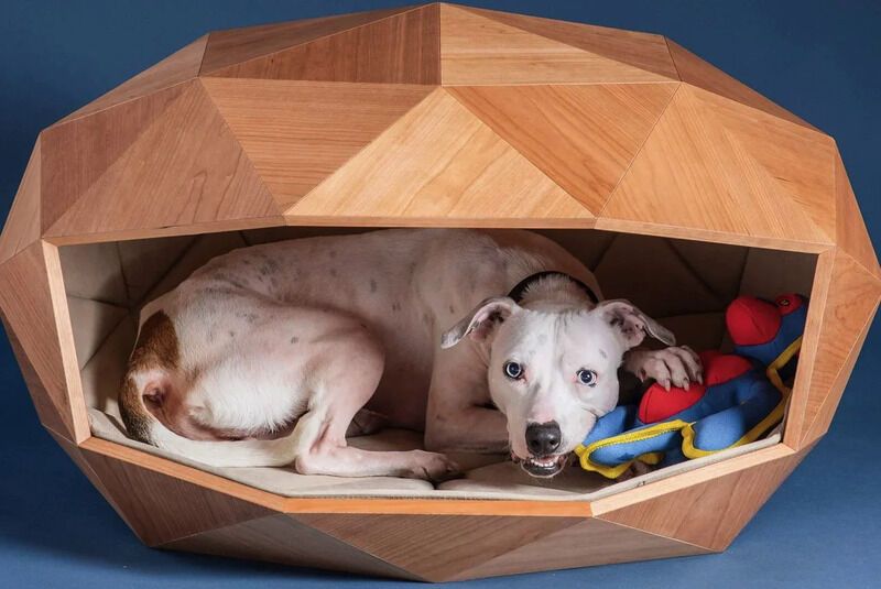 Geodesic Dome Dog Beds