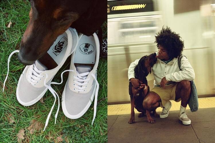Dog-Inspired Casual Skate Sneakers
