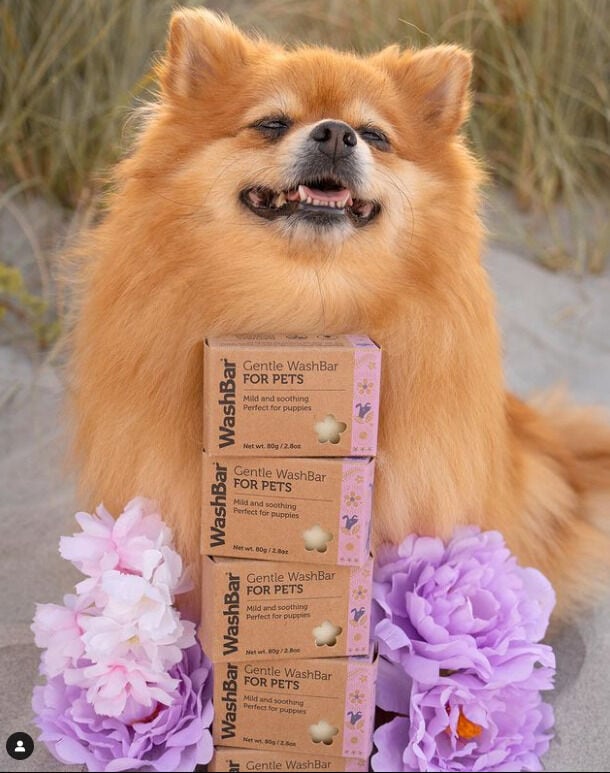 Gentle Organic Dog Soaps