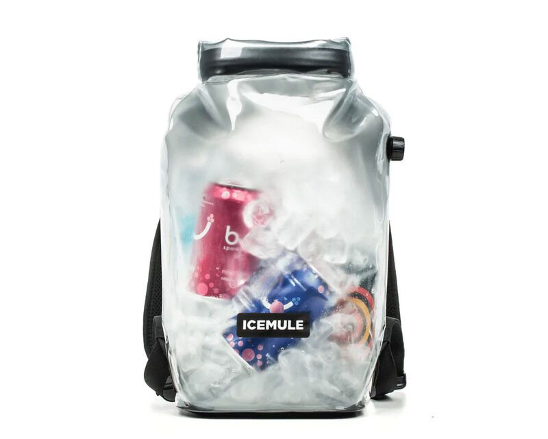 Transparent Backpack Coolers