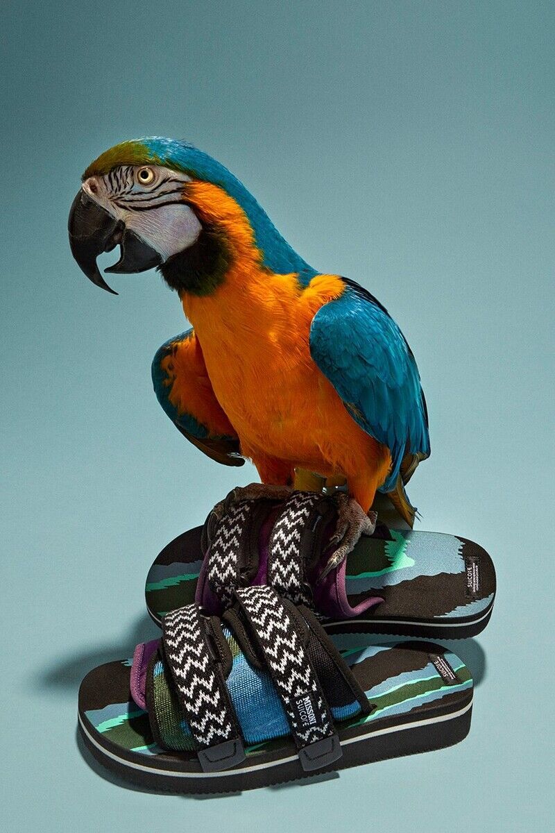 Striking Multi-Color Sandals