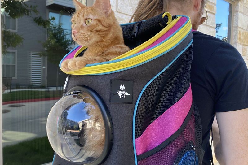 Game-Inspired Cat Carriers