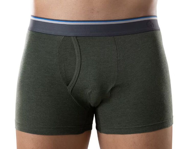 https://cdn.trendhunterstatic.com/thumbs/483/underwear-brand.jpeg?auto=webp