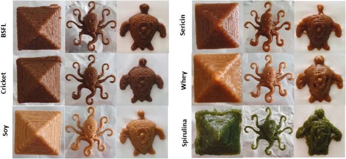 Edible 3D-Printed Insects