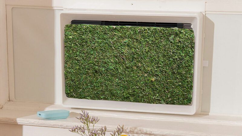 Moss-Covered Air Conditioners