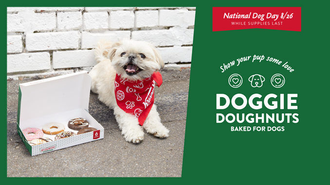 Celebratory Dog-Friendly Donuts