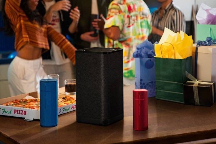 Large Rechargeable Portable Speakers