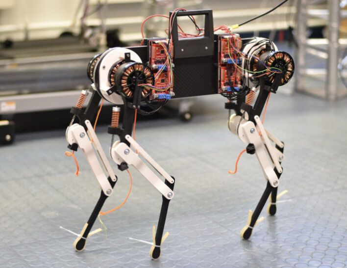 Robotic Four-Legged Dogs