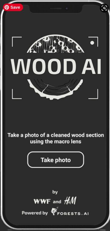 Wood-Scanning AI Apps
