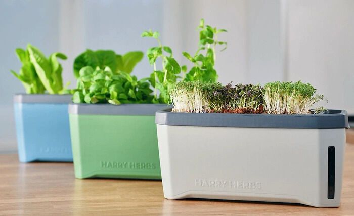 Four-in-One Herb Planters