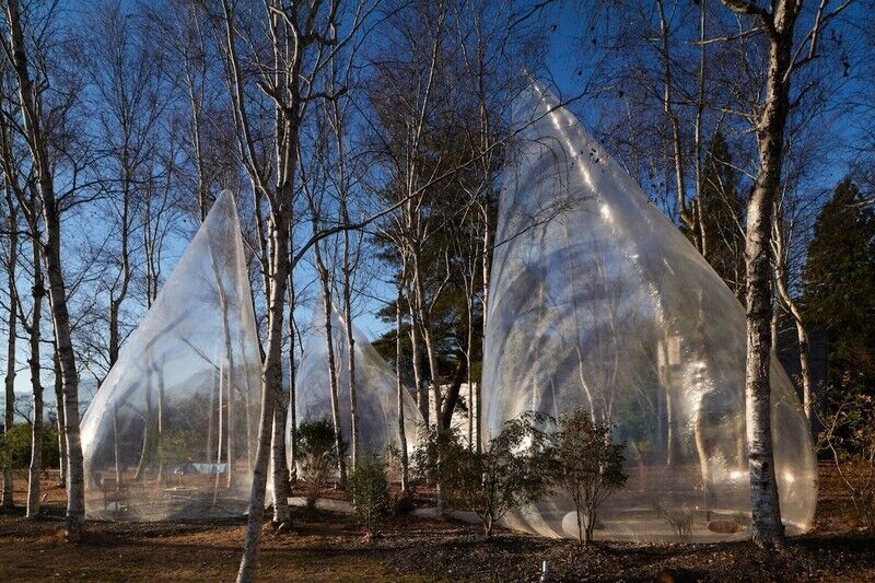 Transparent Teardrop-Shaped Tents