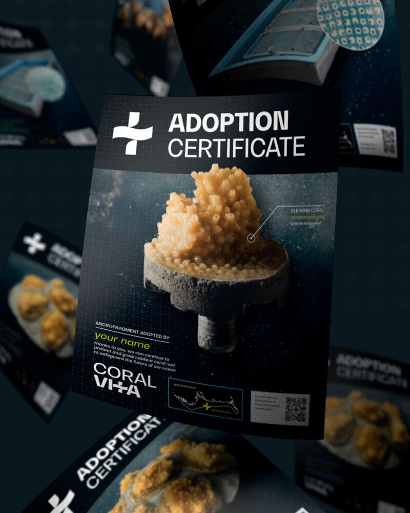 Coral Reef Adoption Gifts