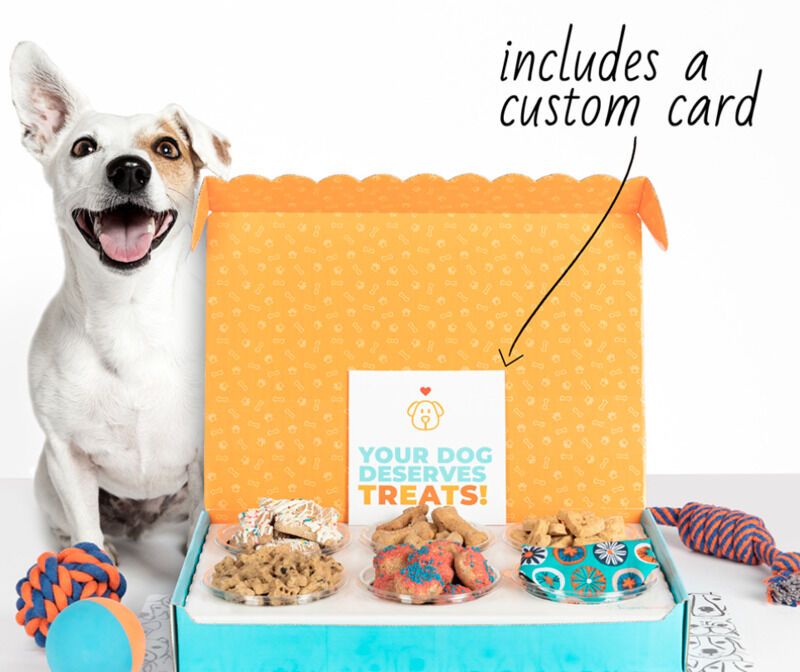 Holiday-Ready Dog Treat Boxes