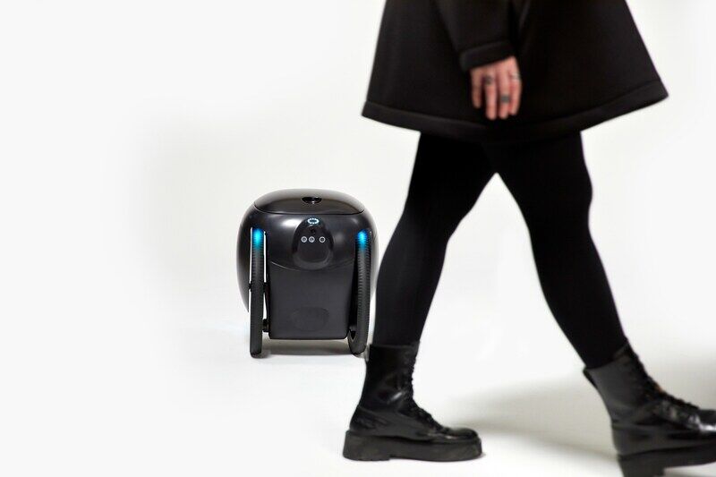 Music-Streaming Personal Robots