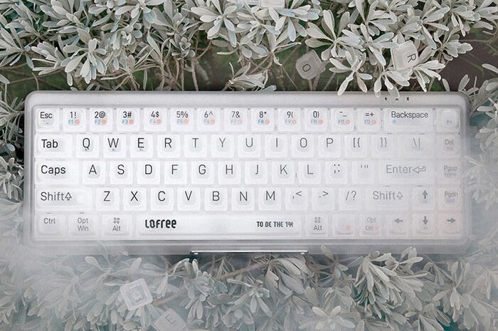 Transparent Mechanical Keyboards