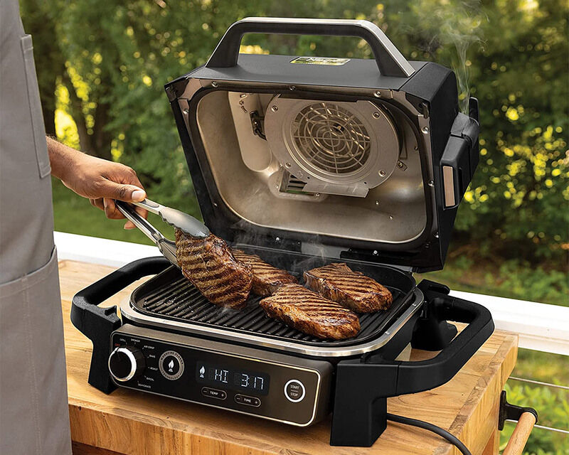 https://cdn.trendhunterstatic.com/thumbs/491/ninja-woodfire-outdoor-grill.jpeg?auto=webp