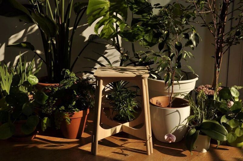 Plastic-Inspired Wooden Stools