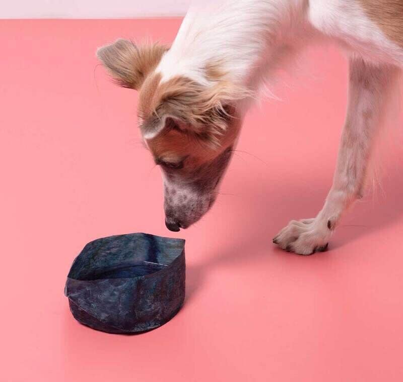 Edible Dog Food Bowls