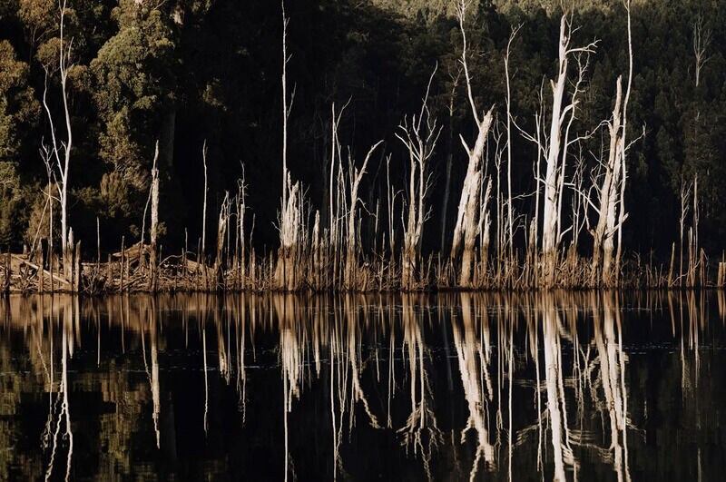 Lake-Sourced Minimal Wooden Tables