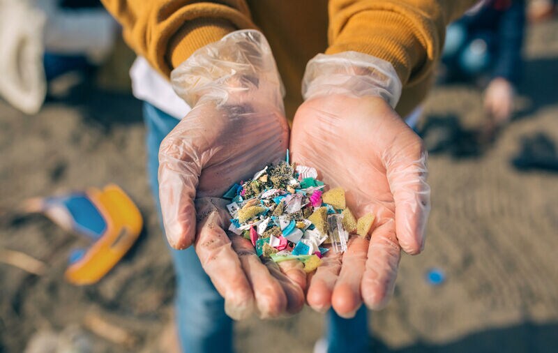 Microplastic-Collecting Bacteria