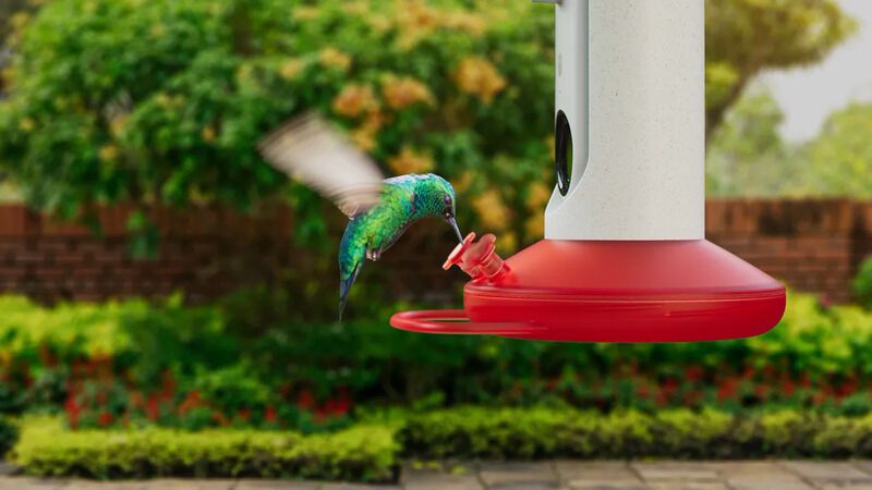 Smart Hummingbird Feeders