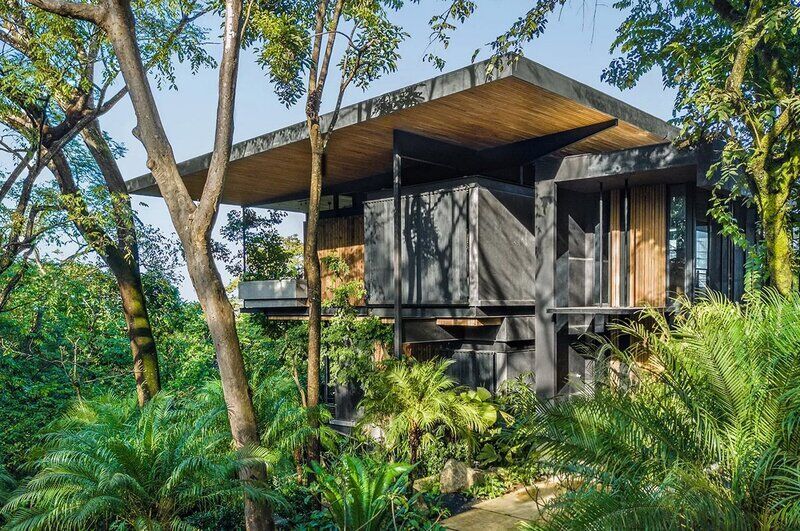 Sustainable Rainforest Green Homes