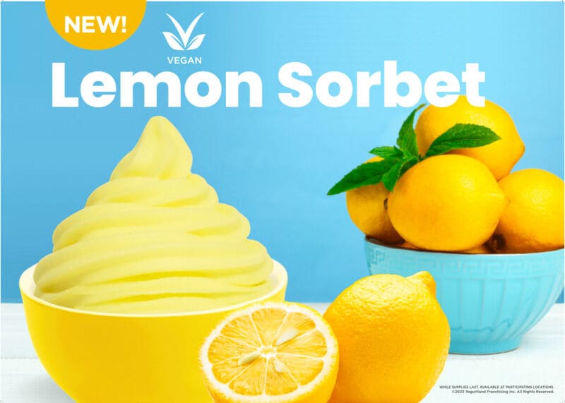 Refreshing Lemon Sorbets