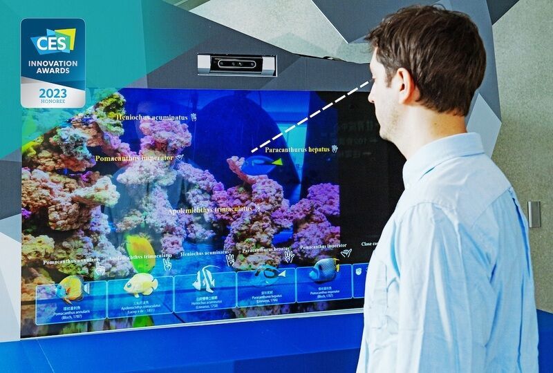 Eye-Tracking Informational Aquariums