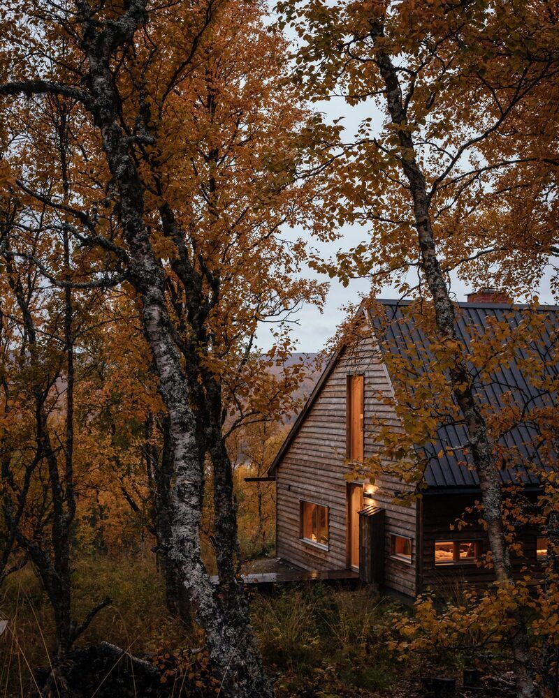 Book-Inspired Timber-Lined Cabins