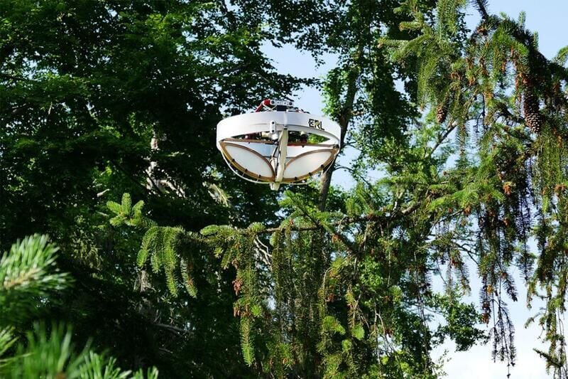 Natural Environment-Analyzing Drones