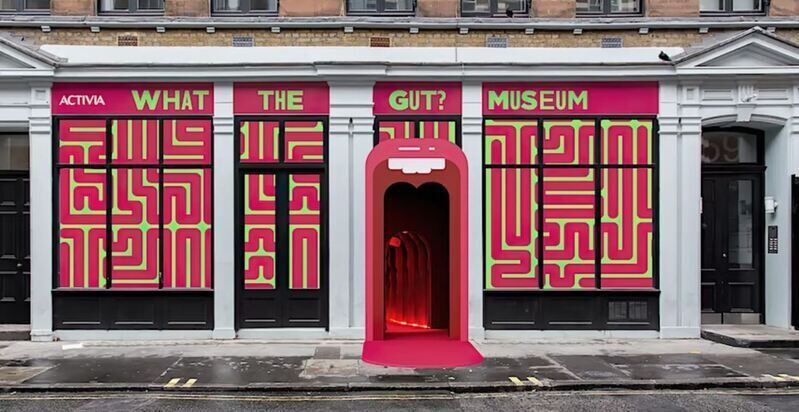 Gut Health Museums : what the gut