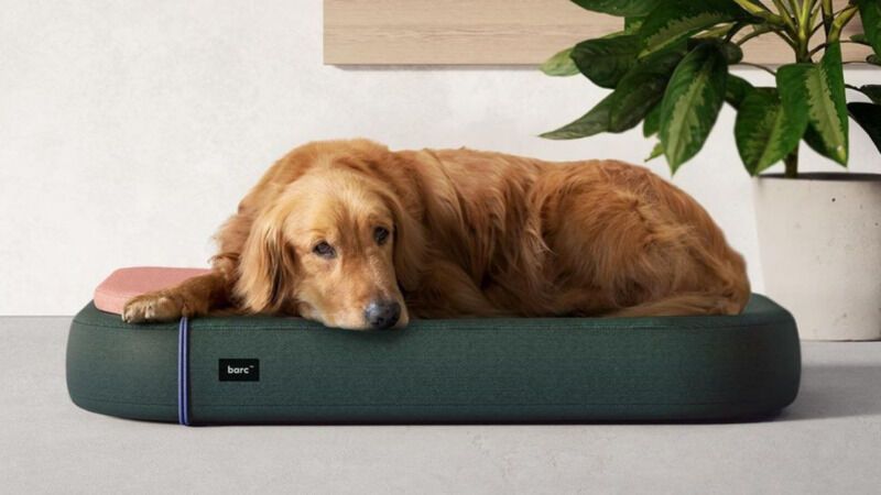 Modular Ergonomic Dog Beds