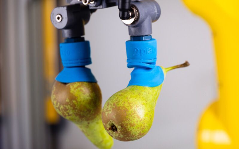 Suction-Powered Fruit-Focused Robots