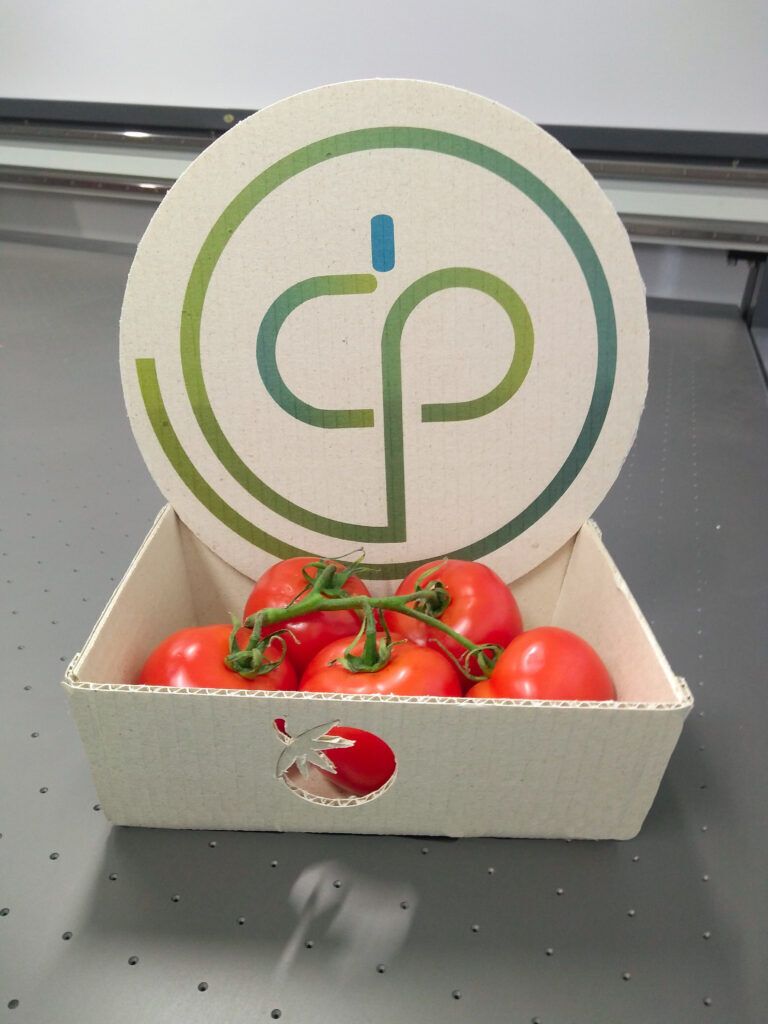 Tomato Stem-Based Boxes