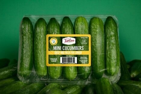 Spoil-Protected Mini Cucumbers