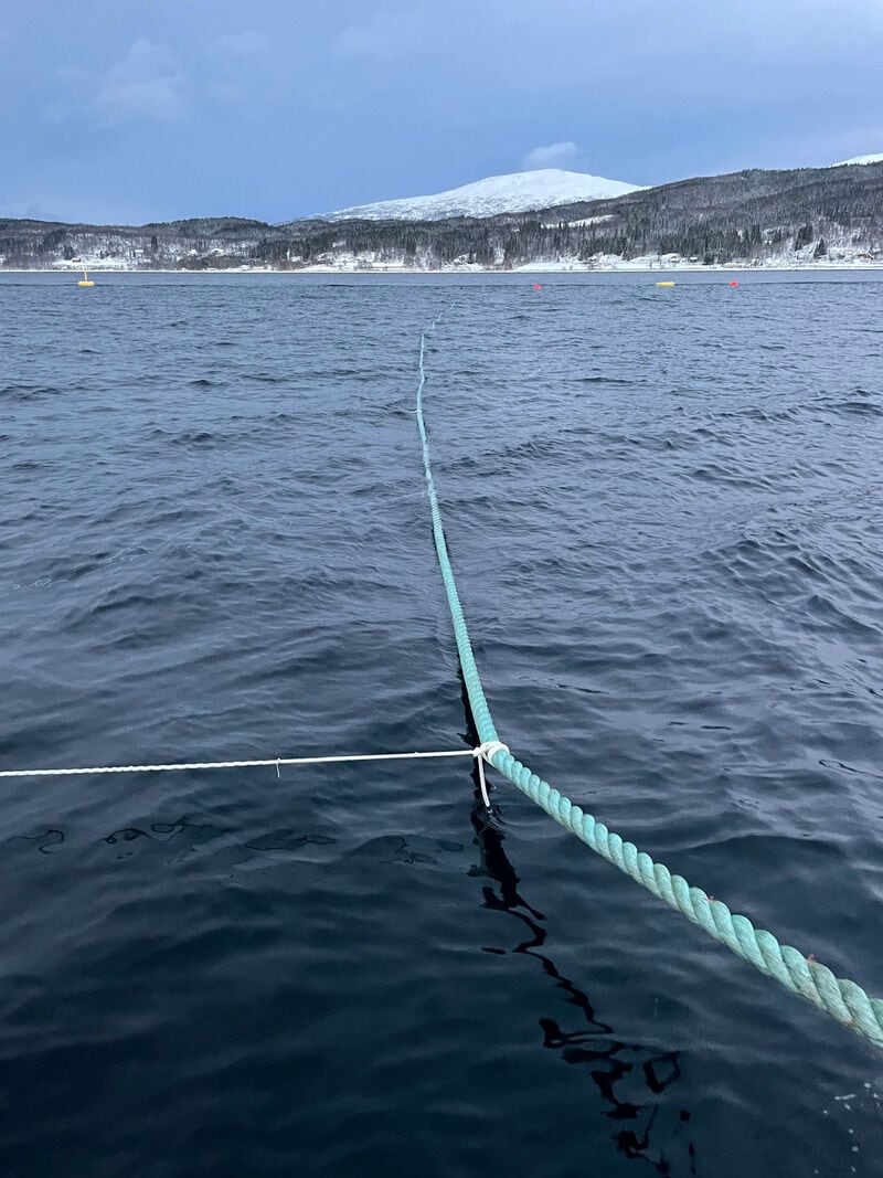 Kelp-Boosting Aquaculture Farms