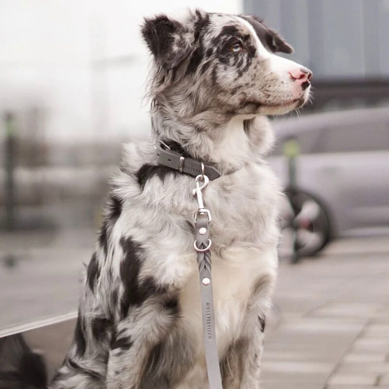 Scandinavian-Inspired Dog Collars
