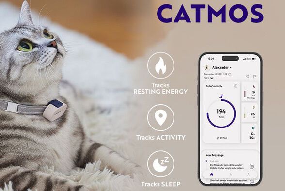 Connected Cat Activity Trackers