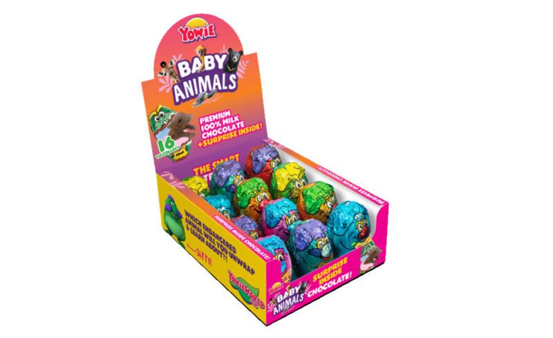 Educational Candy Toy Products