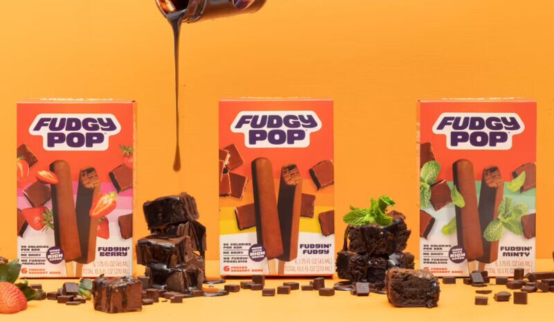 Dairy Free Fudge Pops Dairy Free Fudge Pops dairy-free-fudge-pops-dairy-free-fudge-pops