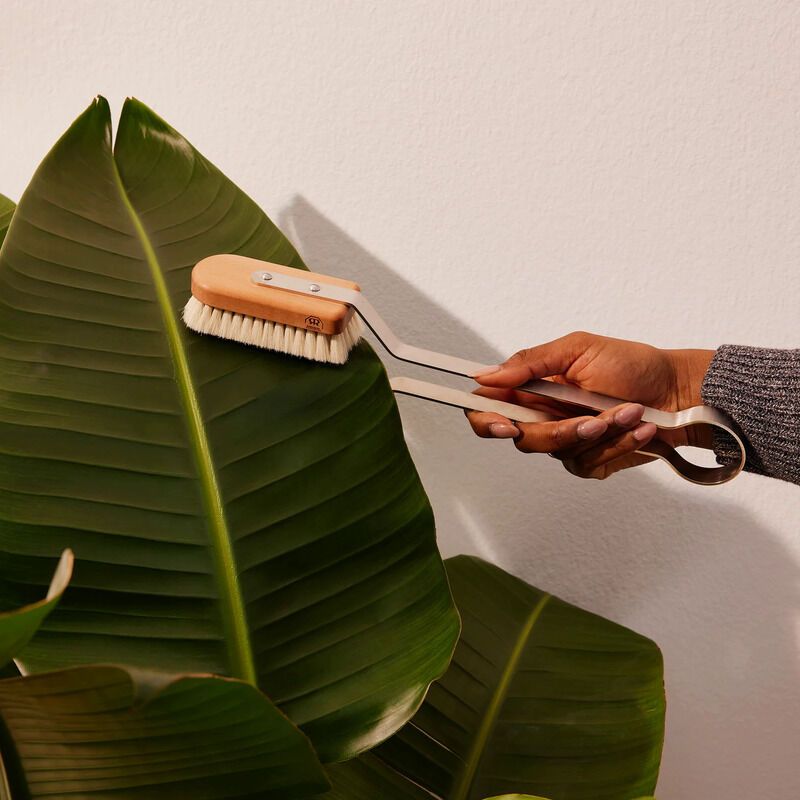 Artisan Plant Care Brushes