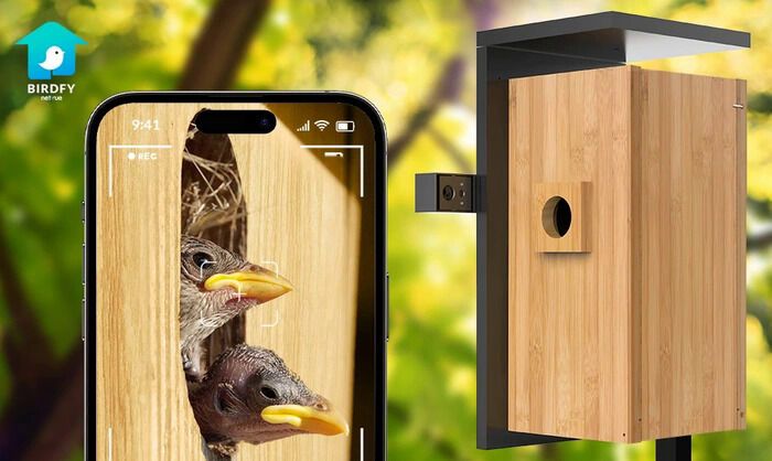 Dual-Camera Birdhouses