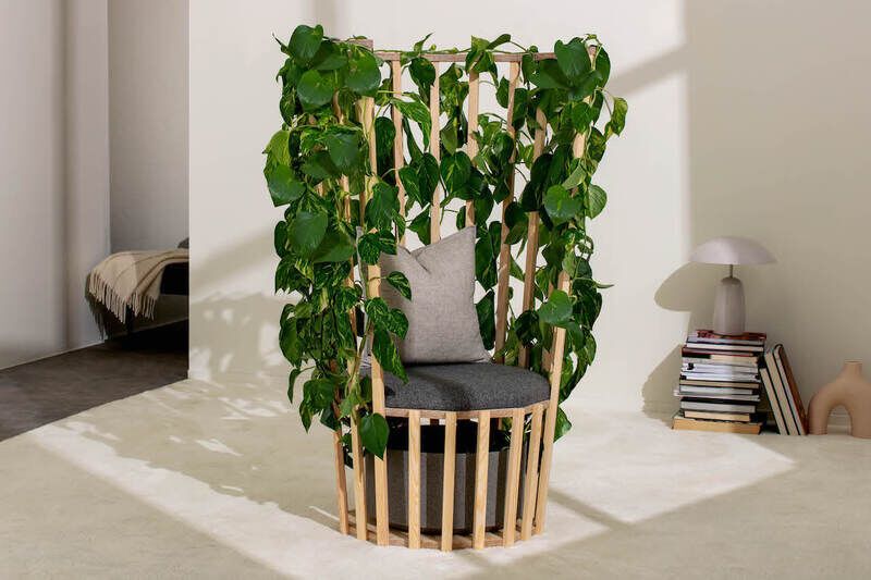 Living Plant DIY Chairs