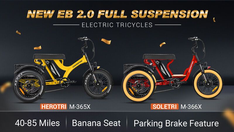 Daily Driver E-Tricycles