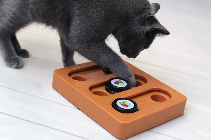 Sushi-Themed Pet Feeders