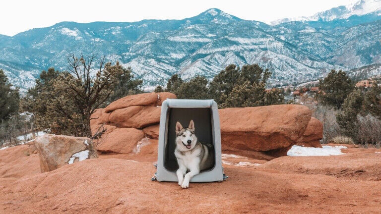 Air-Filled Waterproof Dog Kennels